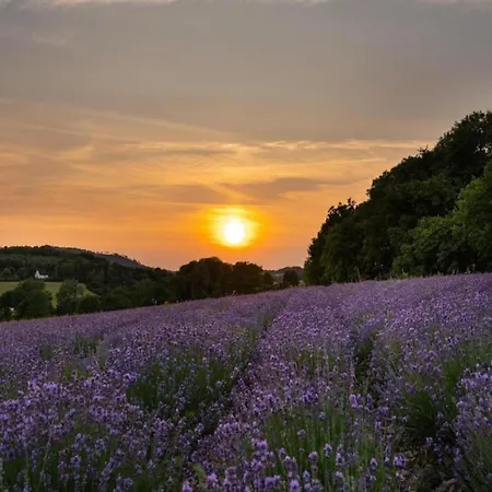 Im Teutoburger Wald Externsteine * Nieheim