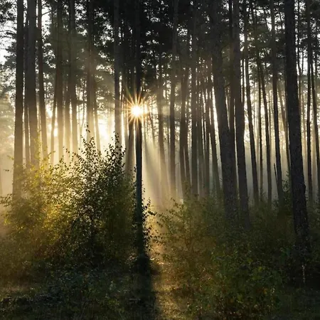 Apartmán Im Teutoburger Wald Externsteine *
