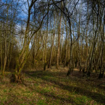 Im Teutoburger Wald Externsteine Apartmán *