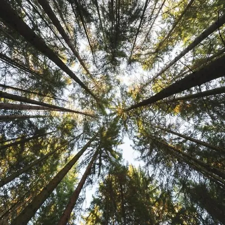 Im Teutoburger Wald Externsteine *