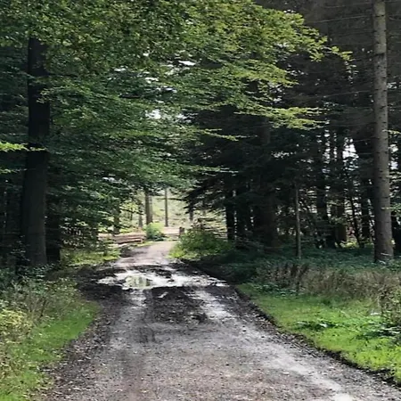 Im Teutoburger Wald Externsteine Διαμέρισμα Nieheim