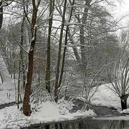 Im Teutoburger Wald Externsteine Apartment Nieheim