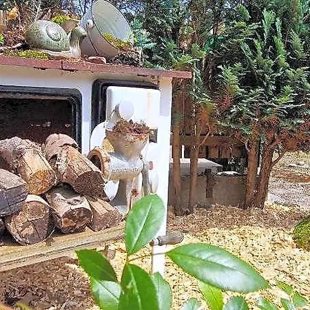 Im Teutoburger Wald Externsteine * Nieheim