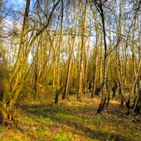 Apartment Im Teutoburger Wald Externsteine *