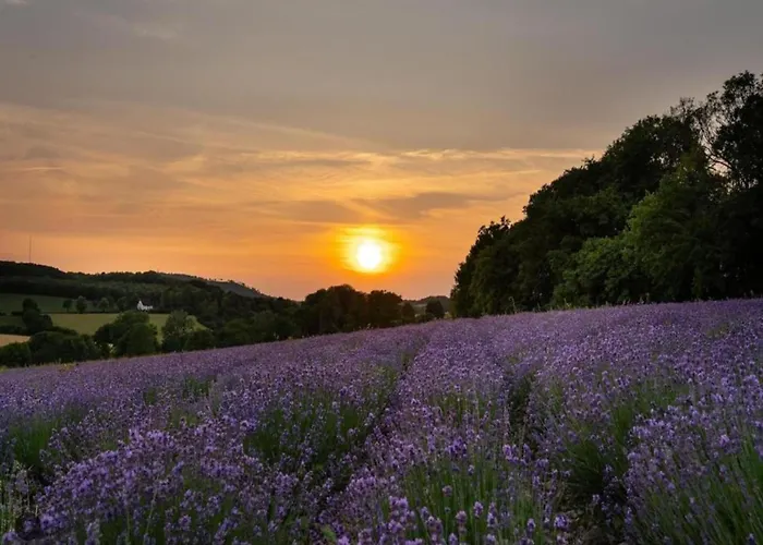 Im Teutoburger Wald Externsteine * Nieheim