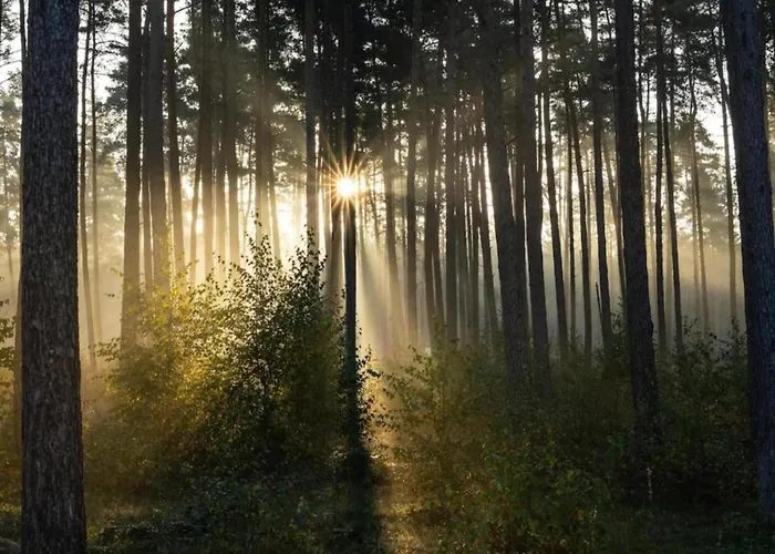 شقة Im Teutoburger Wald Externsteine *