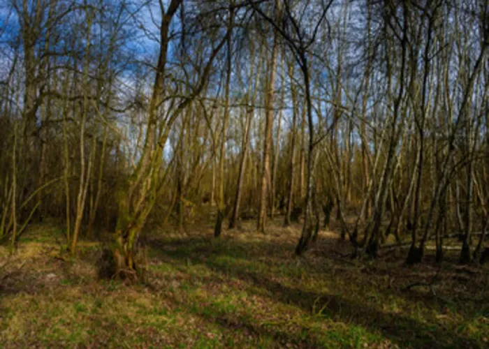Im Teutoburger Wald Externsteine Διαμέρισμα *
