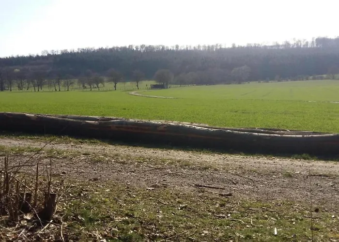 Im Teutoburger Wald Externsteine شقة Nieheim