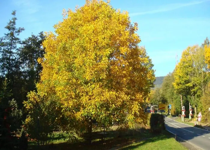 Im Teutoburger Wald Externsteine *