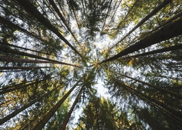 Im Teutoburger Wald Externsteine *