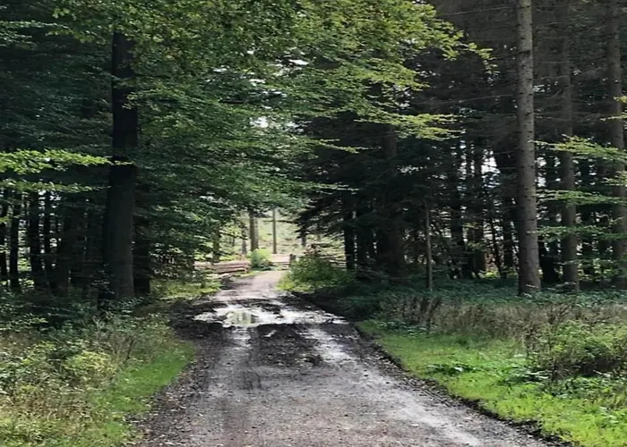 Im Teutoburger Wald Externsteine شقة Nieheim